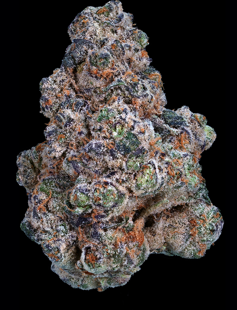 Bubblegum Skittlez (indoor grown)