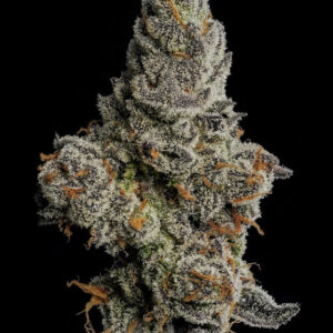 Cotton candy (indoor grown)