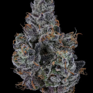 Freeze dried jolly ranchers (indoor grown)