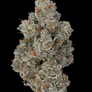 41 cherriez (indoor grown)