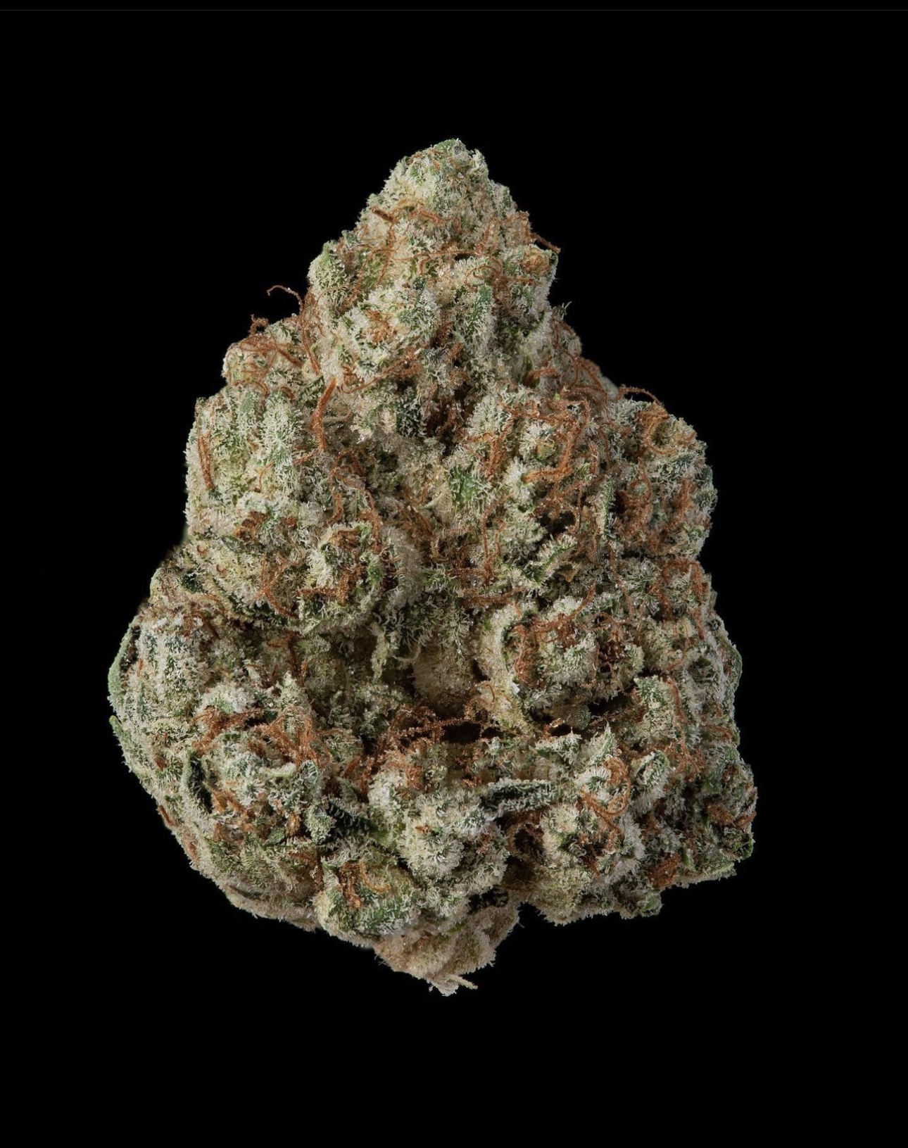 Og kush (indoor grown)