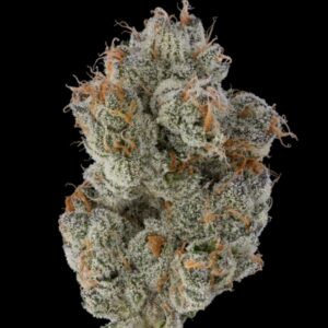 Jealousy (indoor grown)