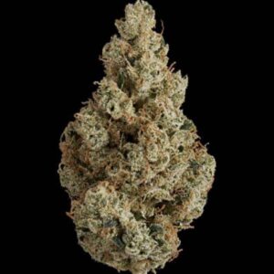 Lemon cherry gelato