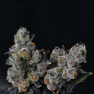 Candy pop